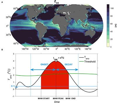 Local Drivers of Extreme Upper Ocean Marine Heatwaves Assessed Using a Global Ocean Circulation Model